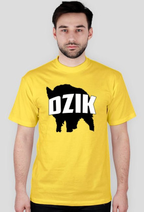 DZIK