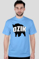 DZIK