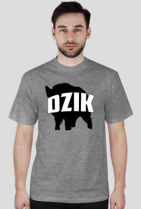 DZIK