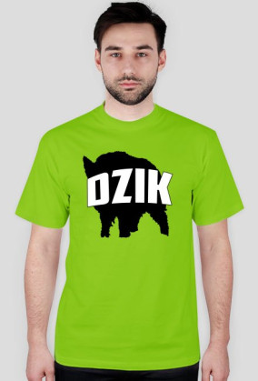 DZIK