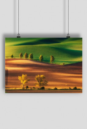 Morawy Południowe-Plakat