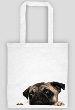 Mops Puga Pug