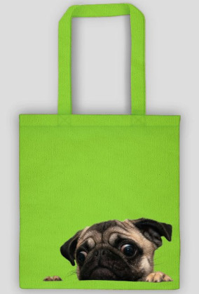 Mops Puga Pug