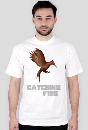 Catching Fire - Książka