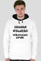 bluza