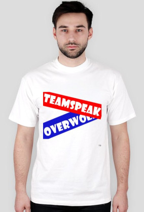 Server TeamSpeak