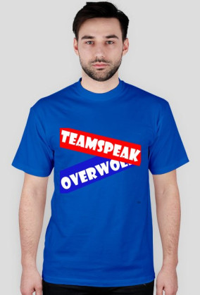 Server TeamSpeak