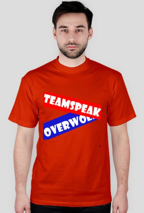Server TeamSpeak