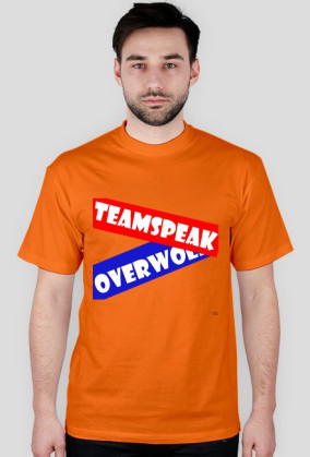 Server TeamSpeak