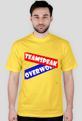 Server TeamSpeak