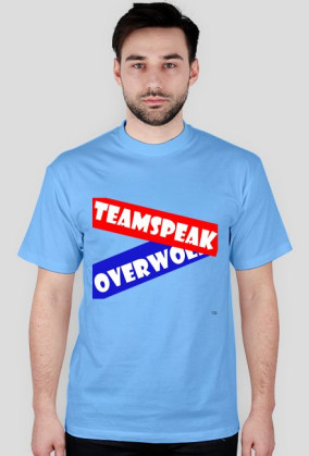 Server TeamSpeak