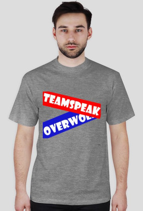Server TeamSpeak