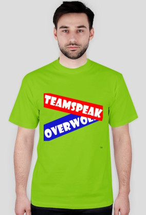 Server TeamSpeak