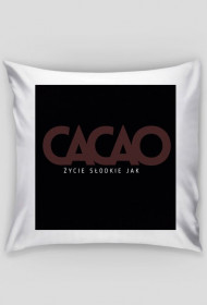 poduszka/poszewka/jasiek