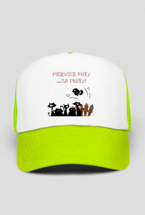 koty za płoty