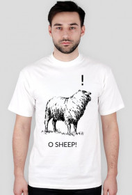 O sheep!