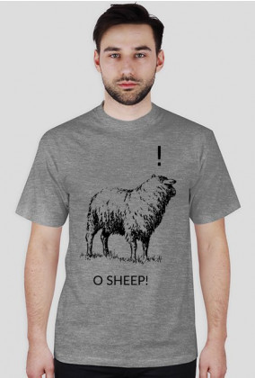 O sheep!