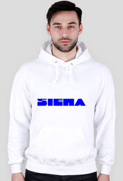 bluza