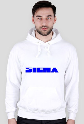bluza