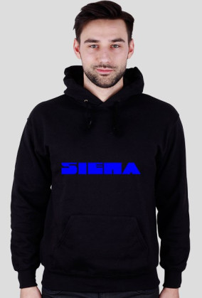 bluza