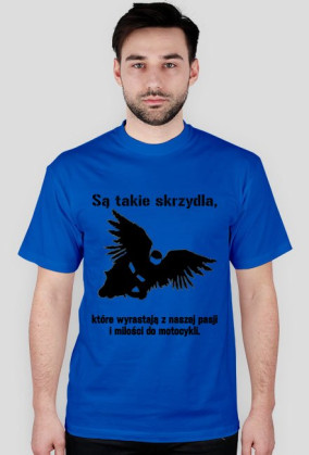 Są takie skrzydła...