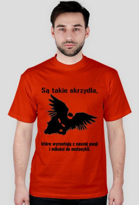 Są takie skrzydła...