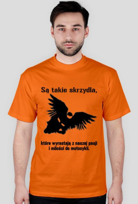 Są takie skrzydła...
