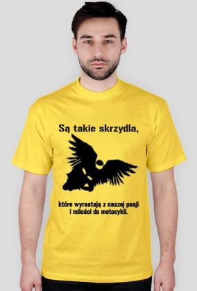 Są takie skrzydła...