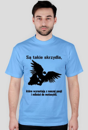 Są takie skrzydła...