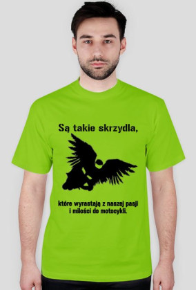 Są takie skrzydła...