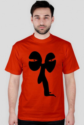 dwuocznik men standard