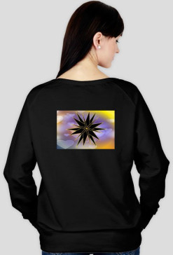 Bluza gwiazda 3D