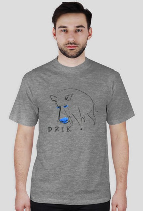 DZIK