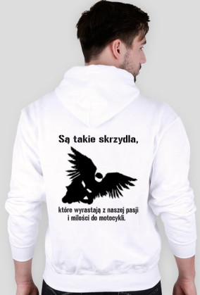 Są takie skrzydła...