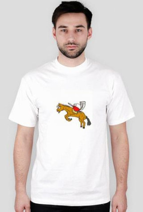 Pollandball (husaria)