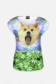 Frank-Style-Doge