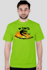 p2ws