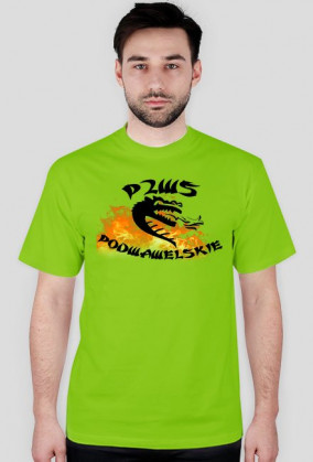 p2ws