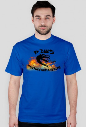 p2ws