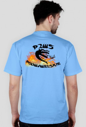 p2ws