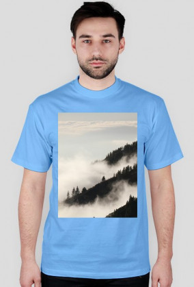 Krajobraz-mgła