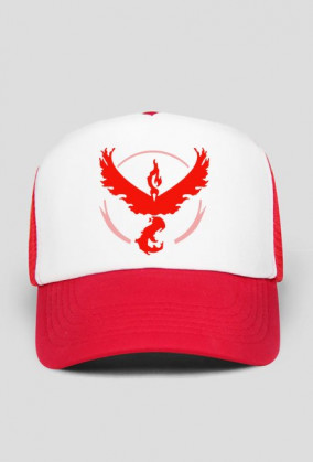 Team Valor
