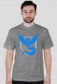Pokemon Go - Team Mystic
