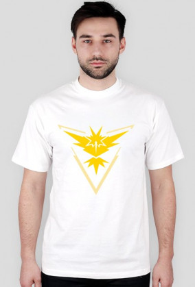 Pokemon Go - Team Instinct