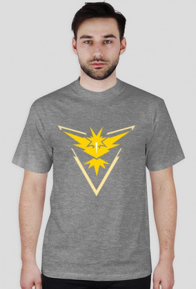 Pokemon Go - Team Instinct