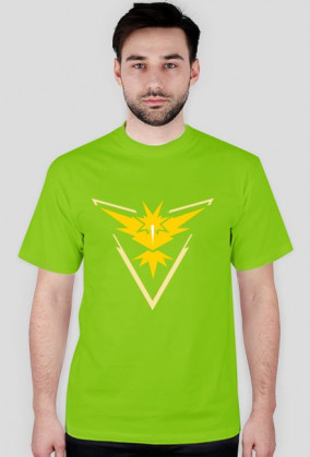 Pokemon Go - Team Instinct