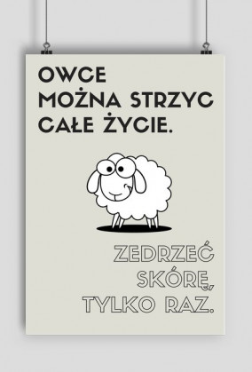 Plakat A3 - Owce można strzyc całe życie...