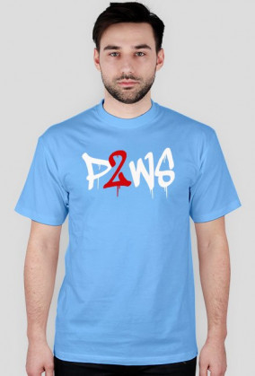 p2ws-skull