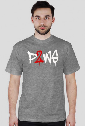 p2ws-skull