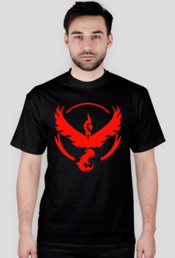 Team Valor-Koszulka Męska